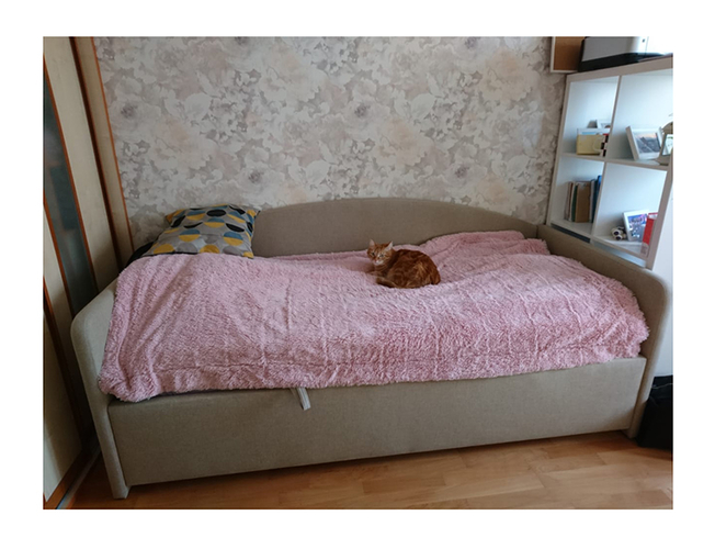 Кровать-диван Бенарти Uta box